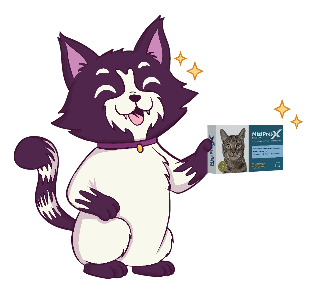 Reyna, la gatita de Otama, te invita a participar con MisiProX